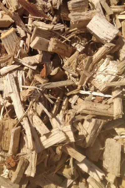 Plaquette de peuplier bois vrac - Gard Bois